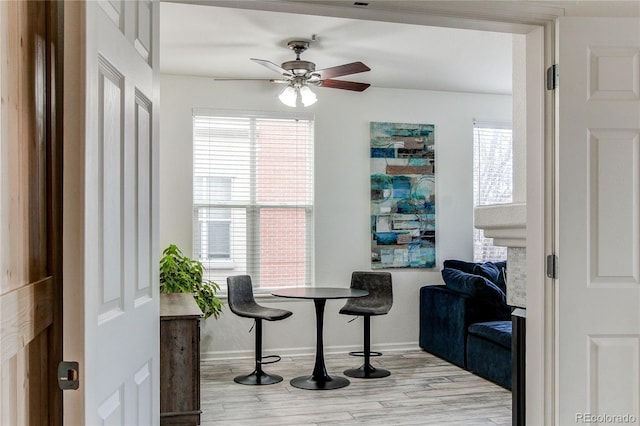 dining room with ceiling fan and light hardwood / wood-style floors