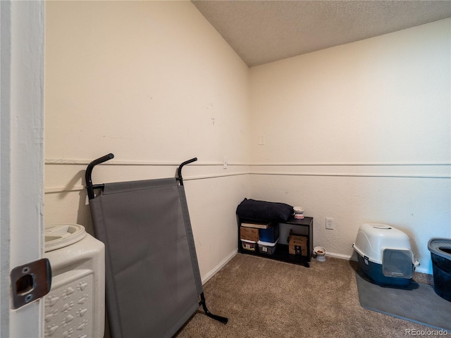 14590 E 2nd Ave Unit 105B, Aurora, CO 80011 - misc room featuring carpet flooring, a textured ceiling, and lofted ceiling