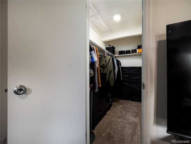 14590 E 2nd Ave Unit 105B, Aurora, CO 80011 - walk in closet featuring carpet flooring