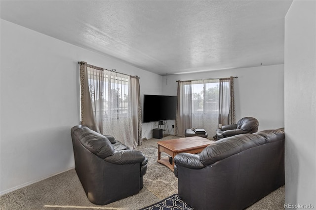 8957 Vrain St, Westminster, CO 80031 - photo 4