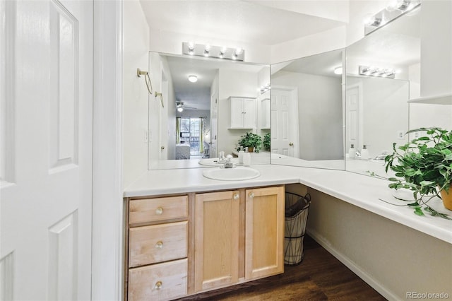 bathroom featuring wood finished floors and vanity