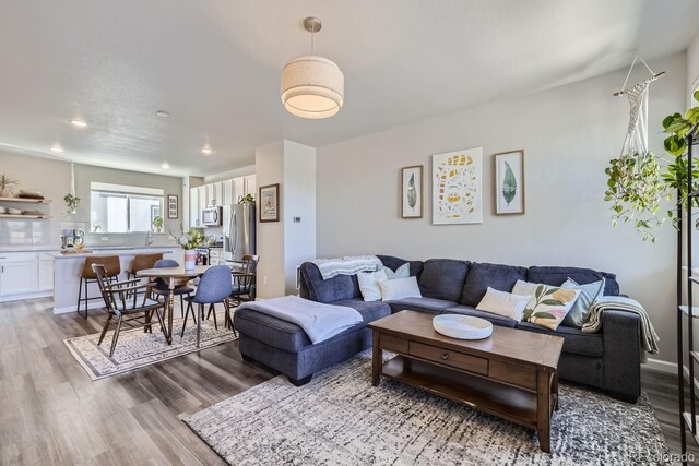 living room with light hardwood / wood-style flooring