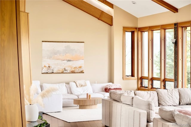 6455 Dakota Ridge Dr, Golden, CO 80403 - living room featuring wood finished floors