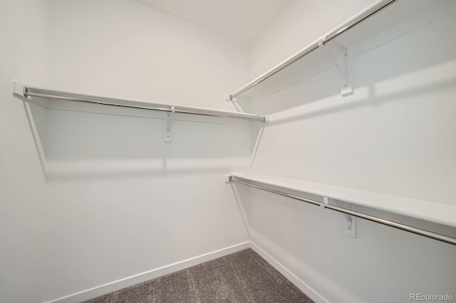 spacious closet with dark carpet