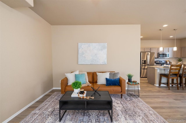 living room featuring light hardwood / wood-style floors