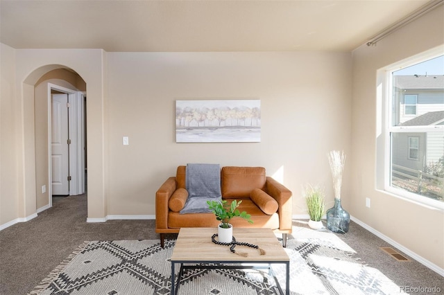 carpeted living room featuring a wealth of natural light