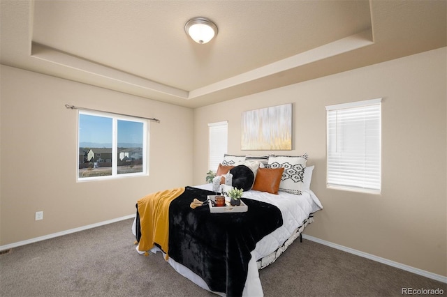 bedroom with a raised ceiling and carpet