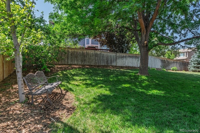 6502 Shea Pl, Highlands Ranch, CO 80130 - photo 3