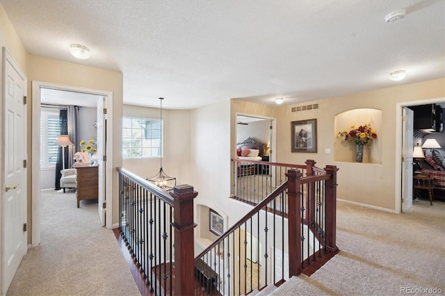 6502 Shea Pl, Highlands Ranch, CO 80130 - photo 29