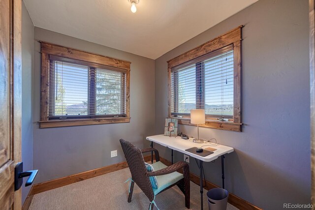 1216 Cowboy Way, Cotopaxi, CO 81223 - photo 32