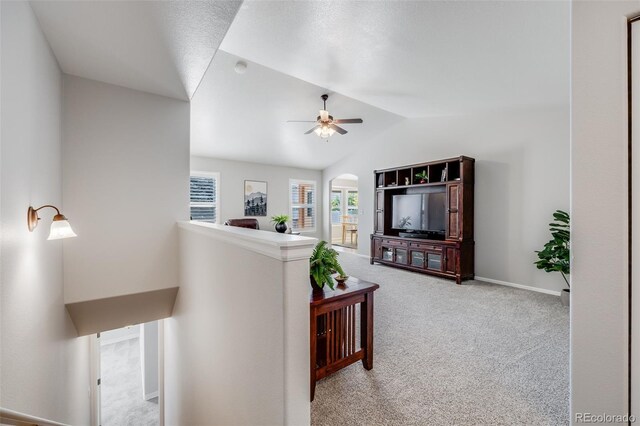 16336 9th St, Mead, CO 80542 - photo 9