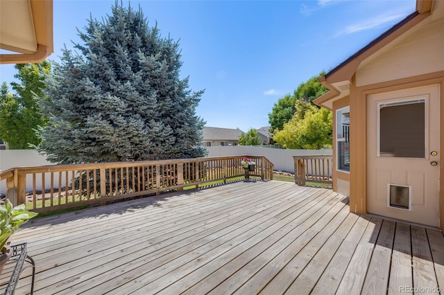 16336 9th St, Mead, CO 80542 - photo 24