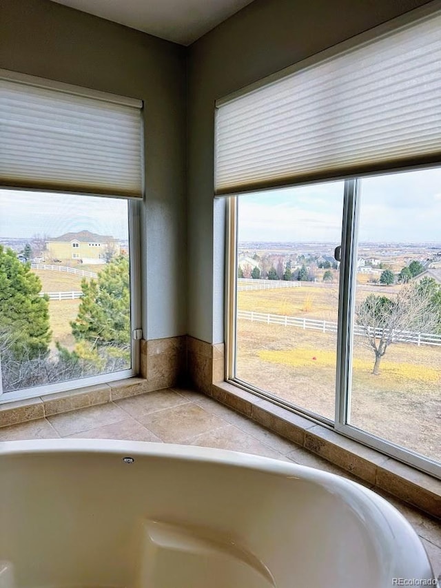 room details featuring a washtub