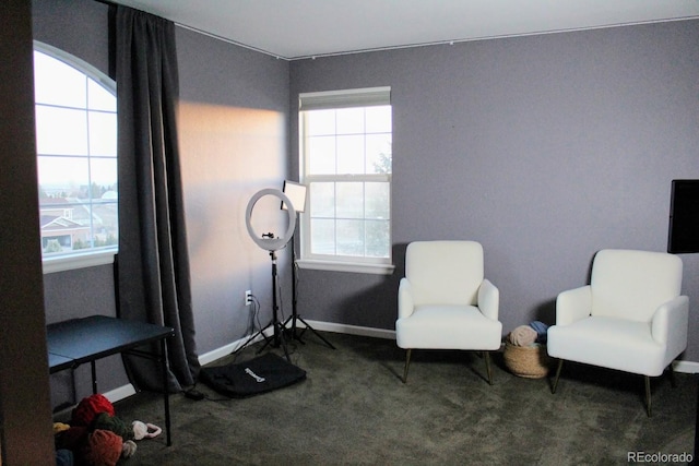 sitting room with baseboards and carpet floors