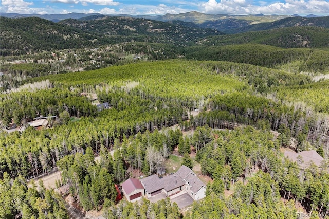 24 Navajo Trl, Evergreen, CO 80439 - photo 6