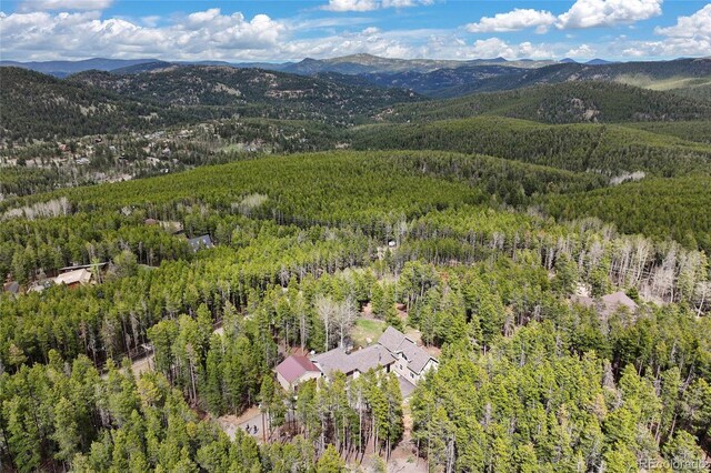 24 Navajo Trl, Evergreen, CO 80439 - photo 7