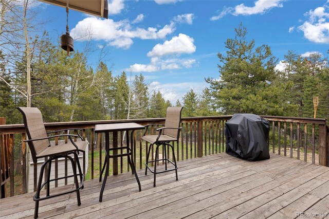 24 Navajo Trl, Evergreen, CO 80439 - photo 11