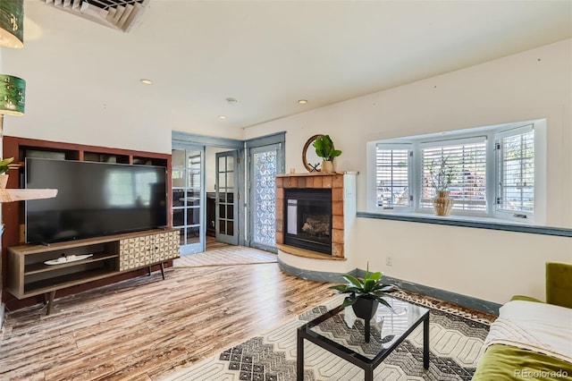 living room with wood-type flooring