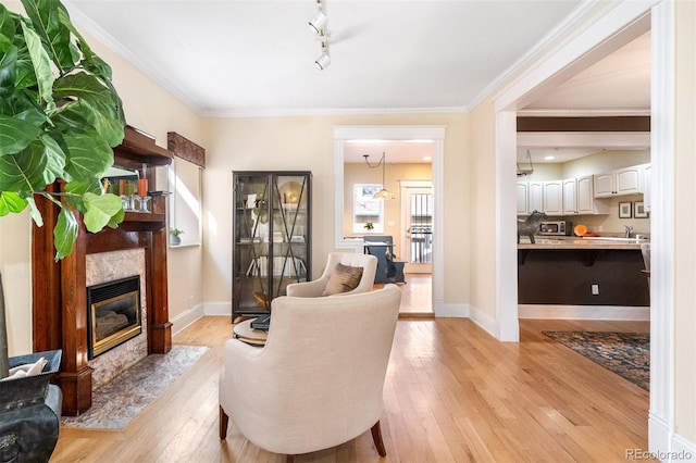 sitting room with a fireplace, light wood-style flooring, crown molding, baseboards, and track lighting