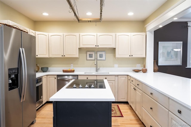 433 N Ogden St, Denver, CO 80218 - kitchen featuring appliances with stainless steel finishes, a sink, light wood finished floors, recessed lighting, and light countertops