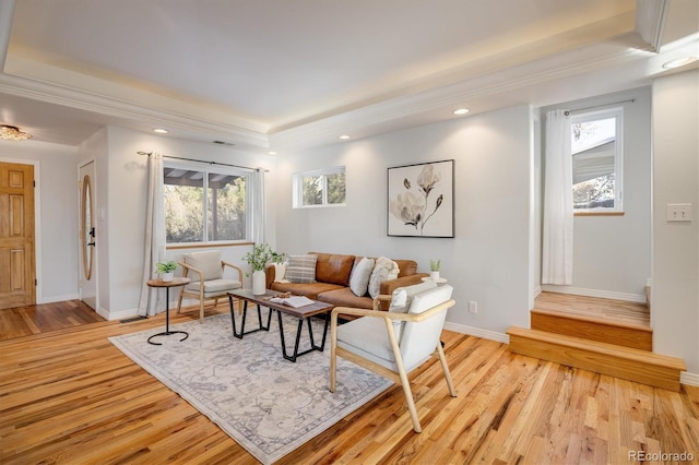 living room with a raised ceiling and light hardwood / wood-style flooring