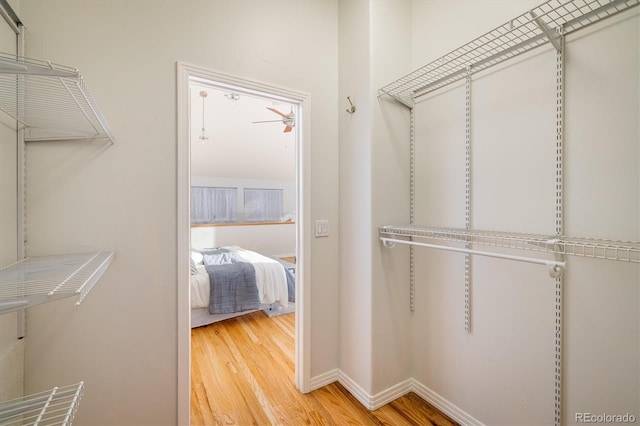 spacious closet with hardwood / wood-style flooring