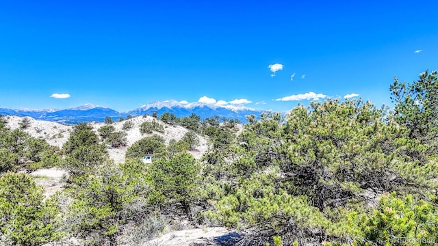 6542 County Road 110, Salida, CO 81201 - photo 1
