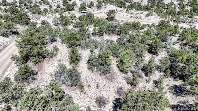 6542 County Road 110, Salida, CO 81201 - photo 5