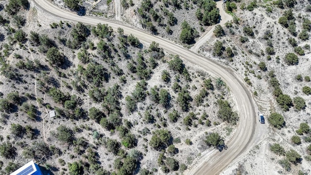 6542 County Road 110, Salida, CO 81201 - photo 7