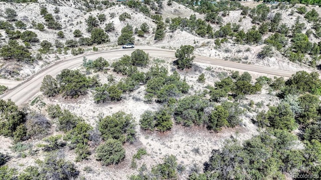 6542 County Road 110, Salida, CO 81201 - photo 10