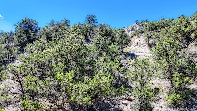 6542 County Road 110, Salida, CO 81201 - photo 11