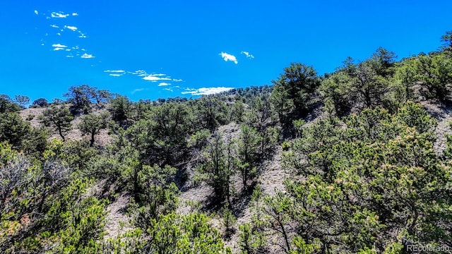 6542 County Road 110, Salida, CO 81201 - photo 12