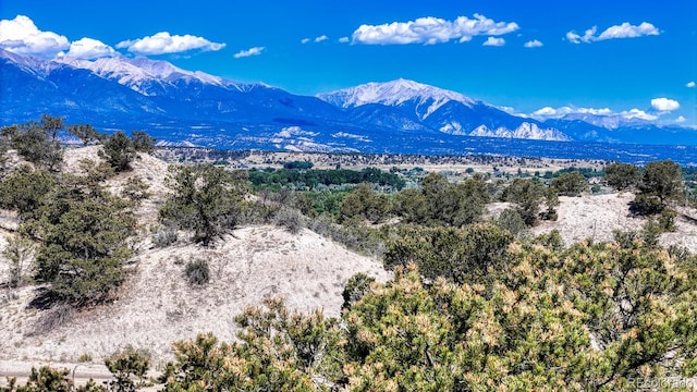 6542 County Road 110, Salida, CO 81201 - photo 13