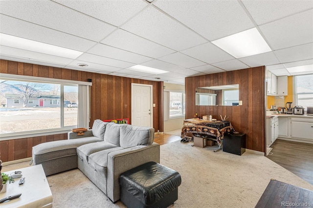 carpeted living room featuring a drop ceiling and a healthy amount of sunlight