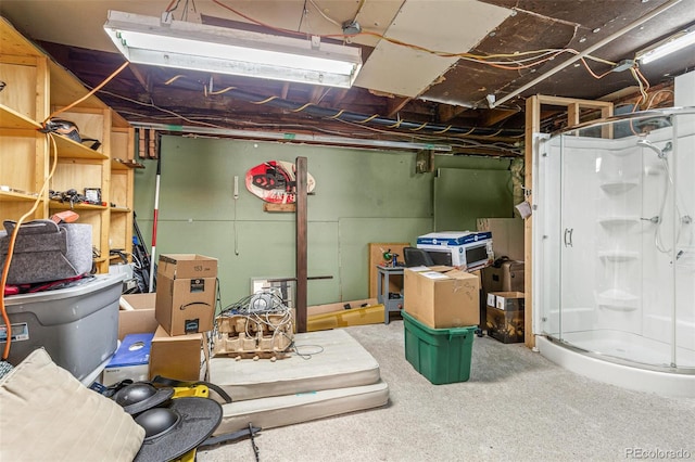 basement featuring carpet flooring