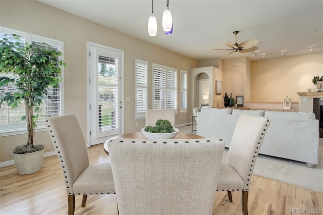 dining area with ceiling fan, light hardwood / wood-style floors, plenty of natural light, and track lighting