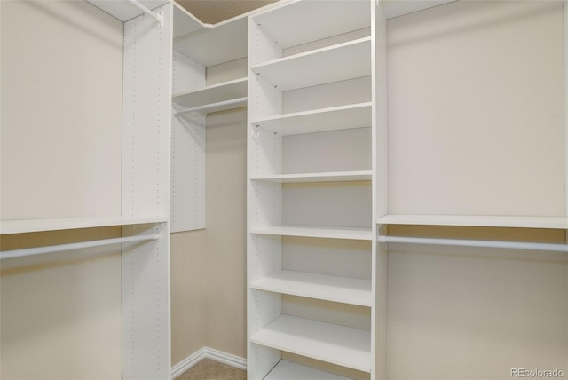 view of spacious closet