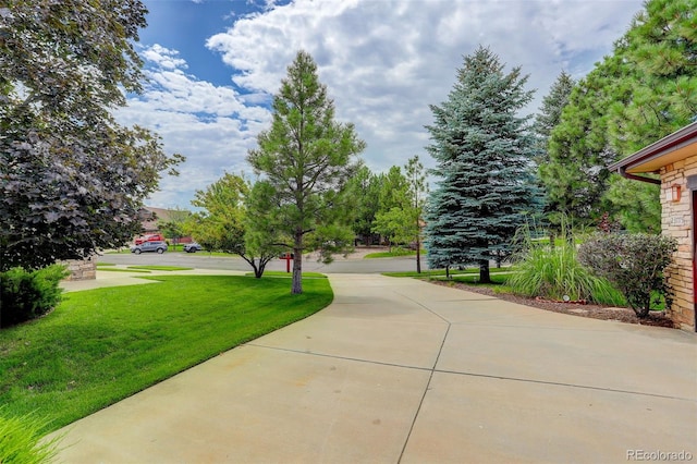 view of home's community with a yard