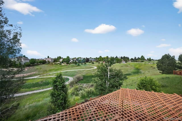 14620 Prairie Sky Ln, Broomfield, CO 80023 - view of yard