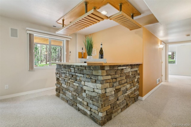 19770 Roaming Dr, Colorado Springs, CO 80908 - indoor dry bar featuring carpet
