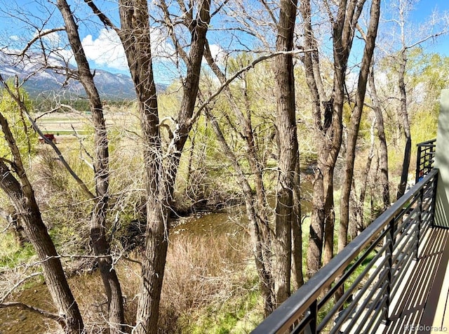 205 Two Rivers Rd Unit G, Salida, CO 81201 - photo 26
