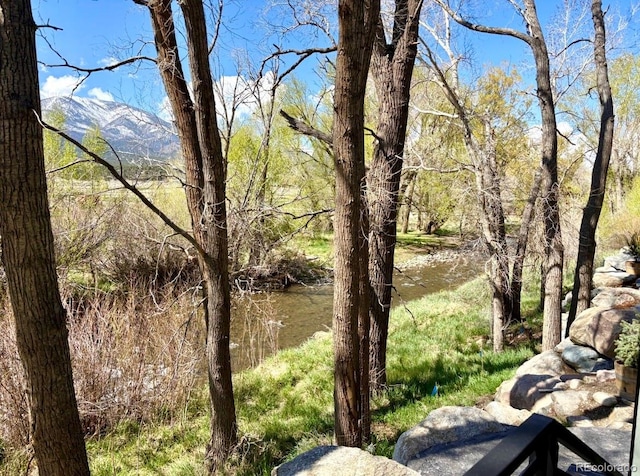 205 Two Rivers Rd Unit G, Salida, CO 81201 - photo 27