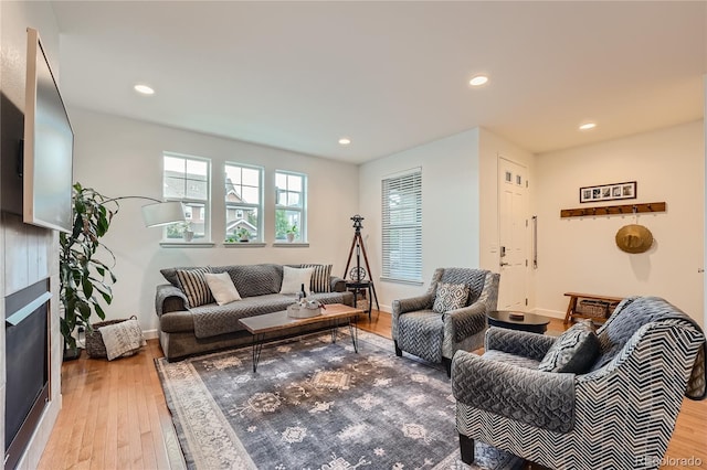 living room featuring light hardwood / wood-style floors