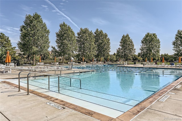 view of swimming pool with a patio area