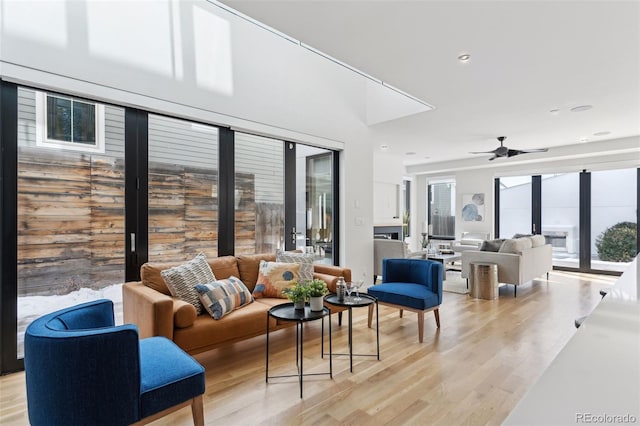 living room with ceiling fan and light hardwood / wood-style floors