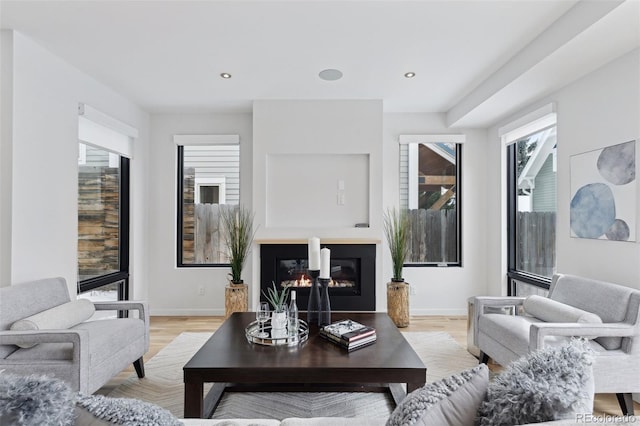 living room with light wood-type flooring