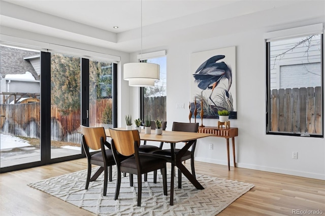 dining room featuring light hardwood / wood-style flooring