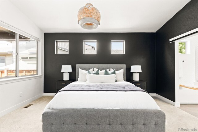 5852 Galena St, Denver, CO 80238 - photo 21