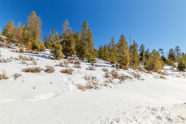 view of snowy view