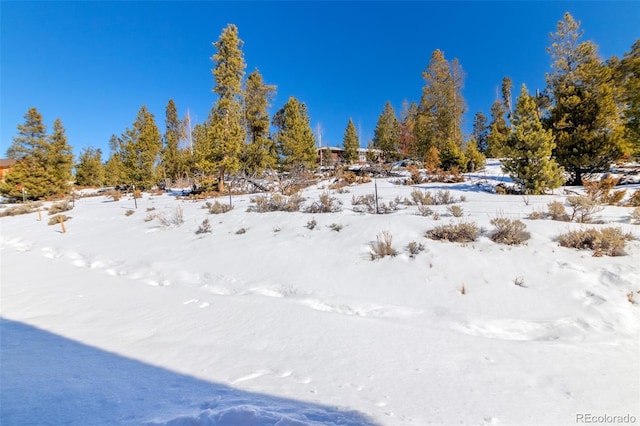 view of yard layered in snow